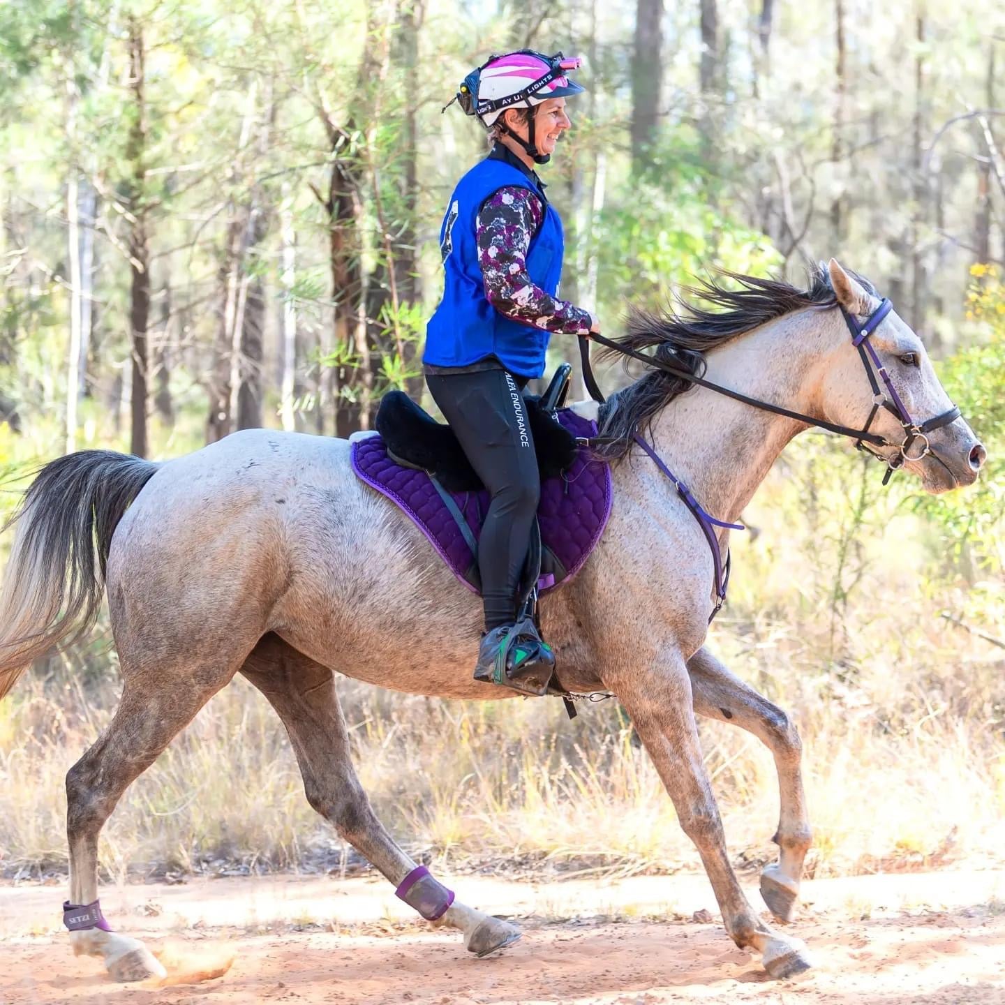Objector Gepard noget Ladies Endurance Tights - BLK Enduro – ALFA Equestrian