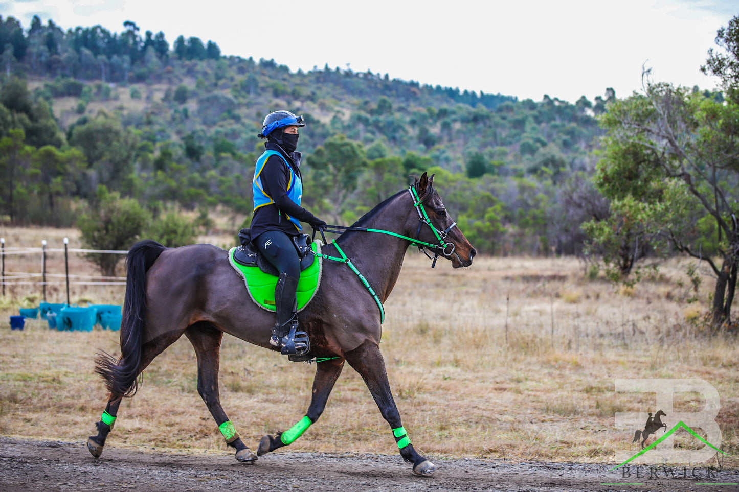 Ladies Endurance Tights - BLK Enduro